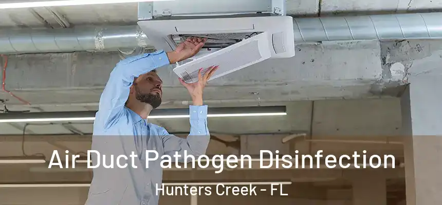  Air Duct Pathogen Disinfection Hunters Creek - FL