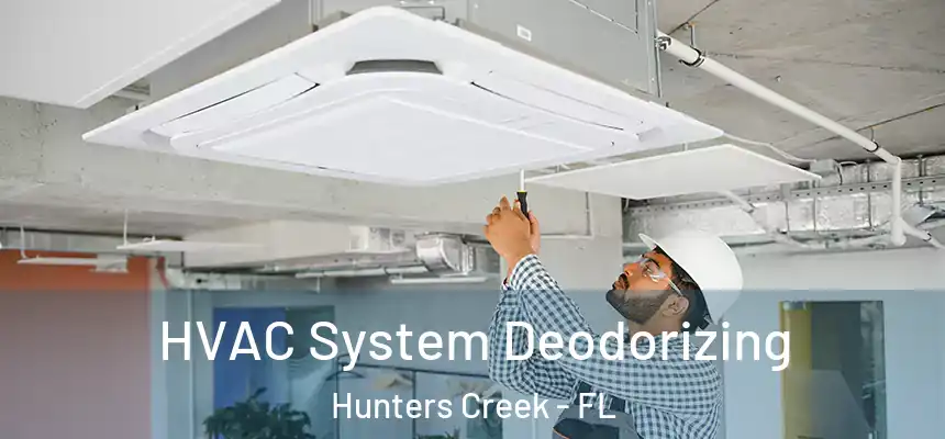 HVAC System Deodorizing Hunters Creek - FL