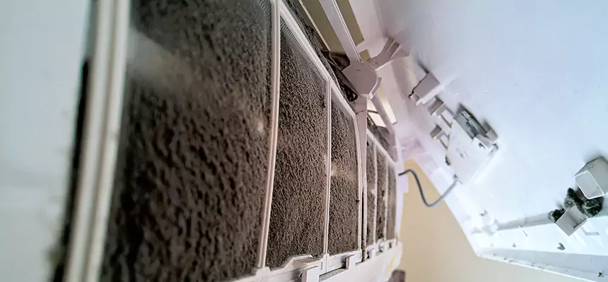 Preventive Air Duct Bacteria Removal in Hunters Creek