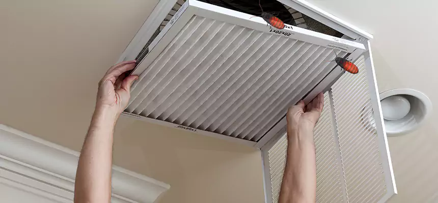 Preventive Cockroach-Proofing for Ducts in Hunters Creek