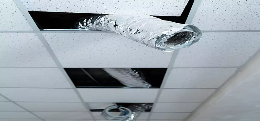 Affordable HVAC Sanitizing After Pest Removal in Hunters Creek