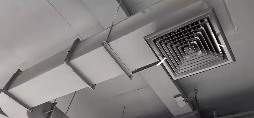 Restorative Allergy Relief Vent Cleaning – Coil, Blower & Housing Detail in Hunters Creek