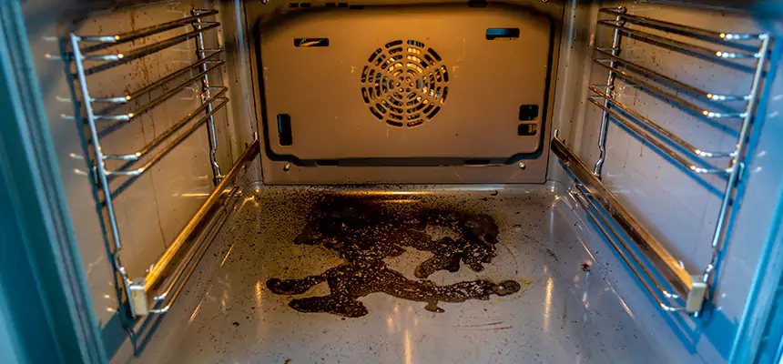 Our Dryer Vent Mold Cleaning Services in Hunters Creek, FL