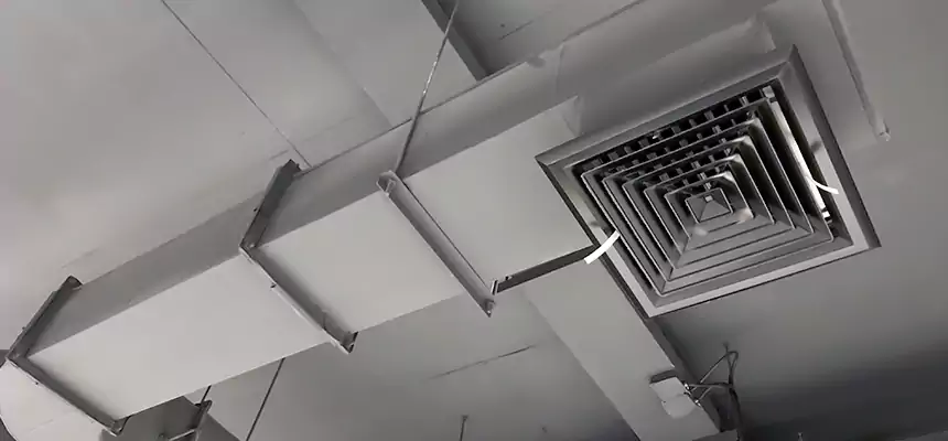 Our Pest Removal From Ducts Services in Hunters Creek, FL