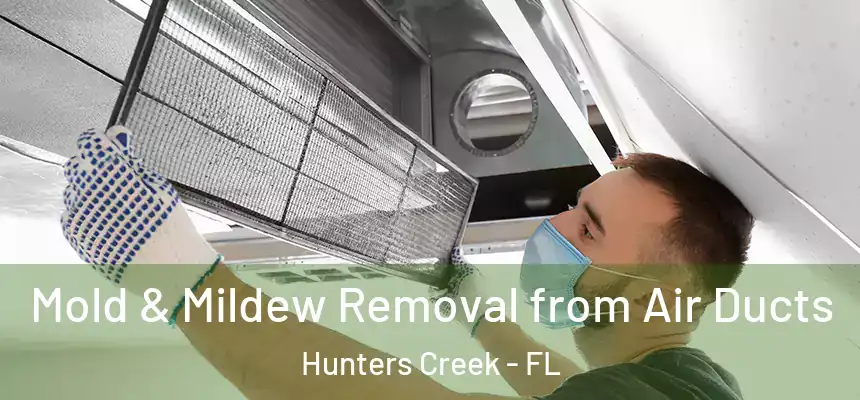 Mold & Mildew Removal from Air Ducts Hunters Creek - FL