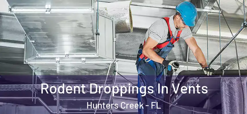  Rodent Droppings In Vents Hunters Creek - FL