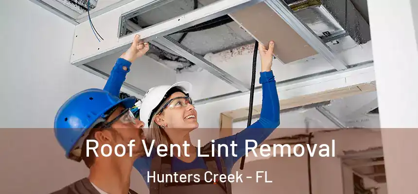 Roof Vent Lint Removal Hunters Creek - FL