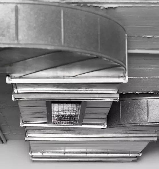 Professional Air Duct Pest Removal in Hunters Creek, FL