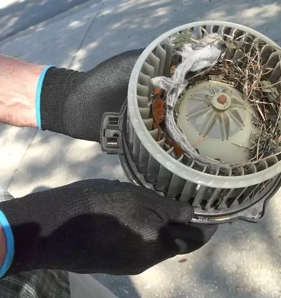 About Air Duct Rat Removal in Hunters Creek, FL