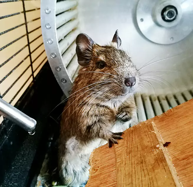 Why Homeowners & Businesses Trust Us Hunters Creek, FL