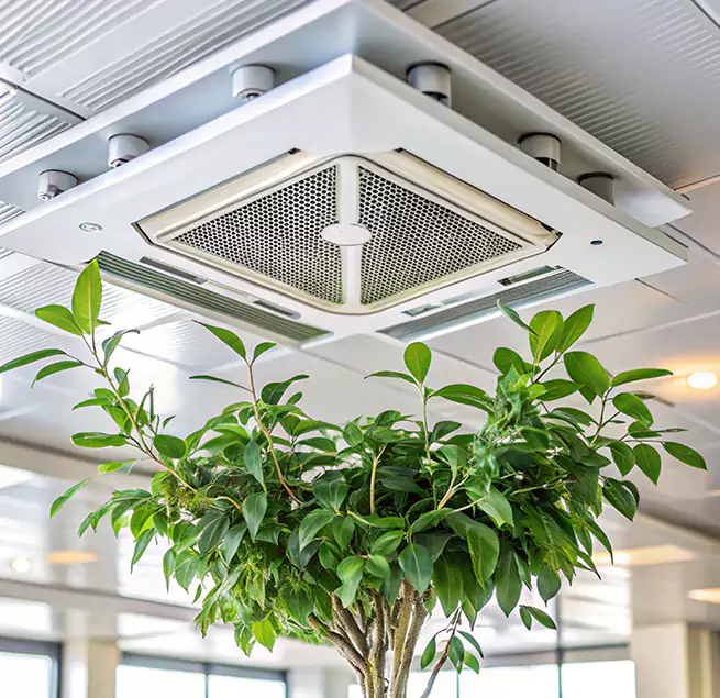 Why Homeowners & Businesses Trust Us in Hunters Creek, FL?