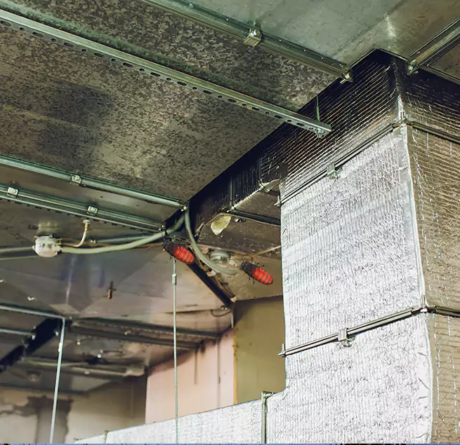 Why Homeowners & Businesses Trust Us Hunters Creek, FL?